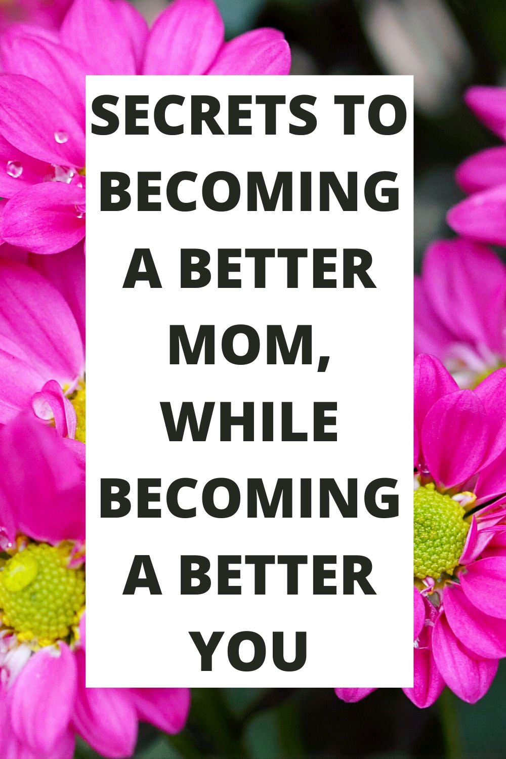Secrets to Becoming a better mom landing page