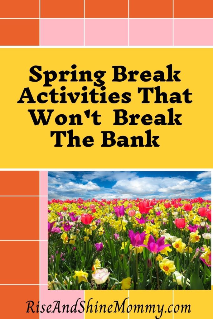 Spring Break Activities That Won't Break The Bank With Spring Time Flowers.
