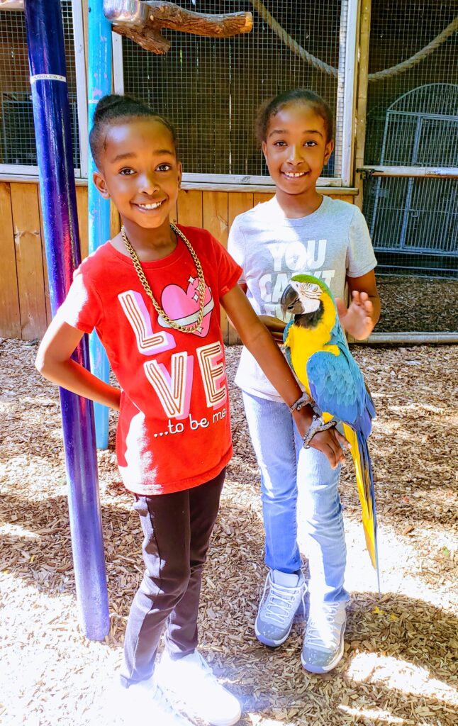 Girls holding a parrot at parrot mountain bird sanctuary.