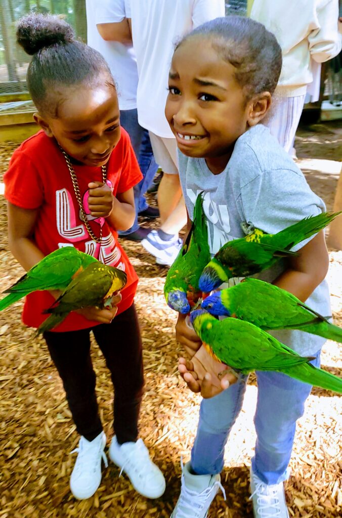 Girls covered with birds at parrot mountain bird sanctuary.